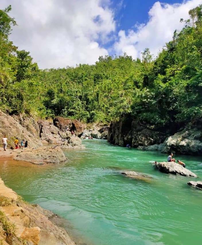 dltb online booking to bicol